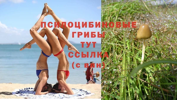 Альфа ПВП Волосово